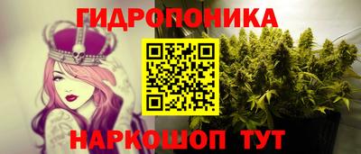 шишки Заводоуковск