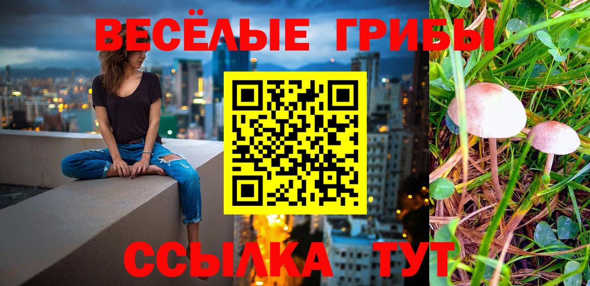 Галлюциногенные грибы мухоморы Лесной